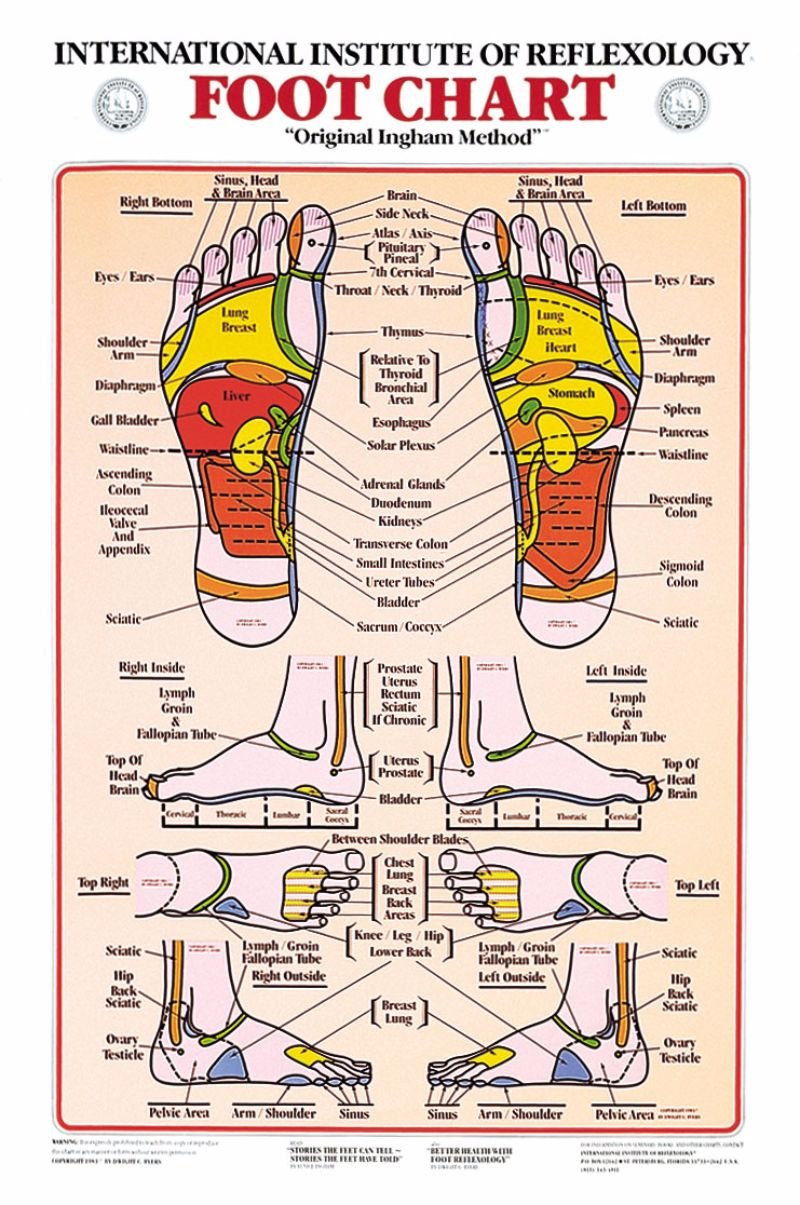 31 Printable Foot Reflexology Charts &amp;amp; Maps ᐅ Templatelab in Printable Reflexology Charts Free