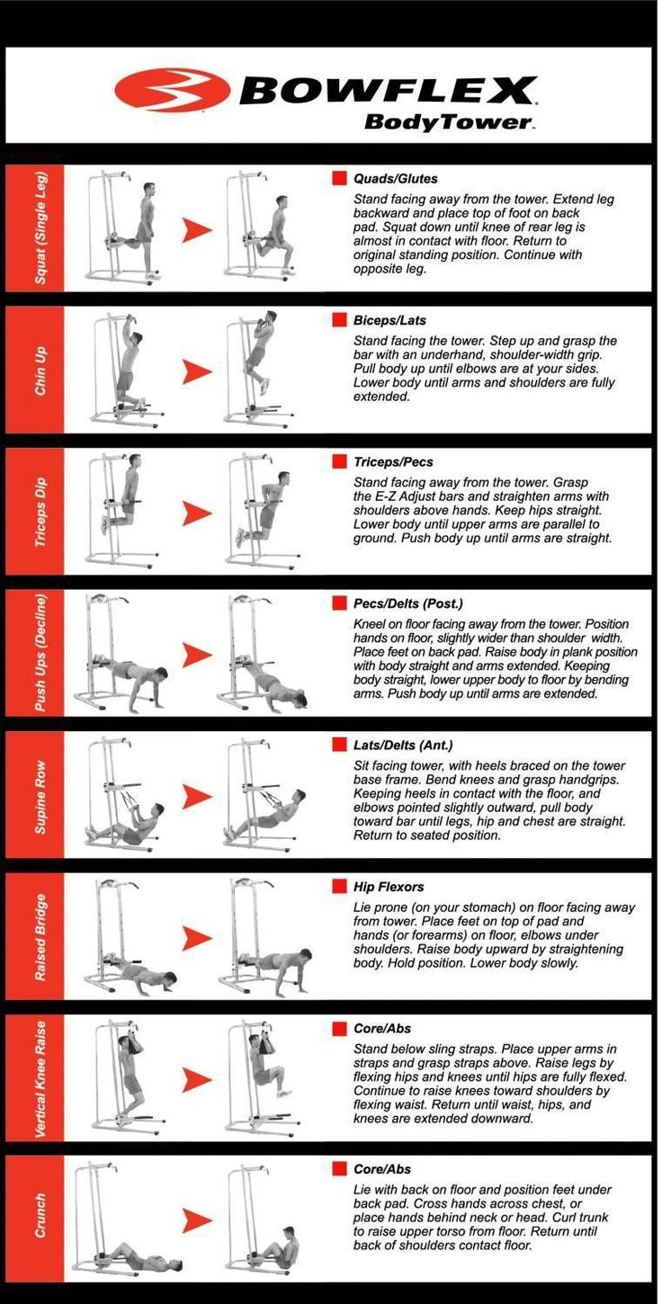 Bowflex Bodytower (Power Tower) Review, Manual, Exercises intended for Printable Bowflex Workout Chart Free Download