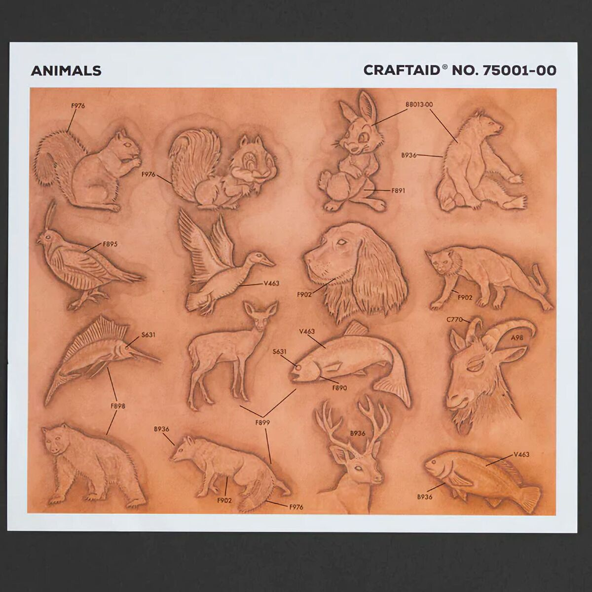 Craftaid Plastic Animal Template 3/4&amp;quot; 75001-00Tandy Leather | Ebay inside Tandy Leather Patterns Free Printable