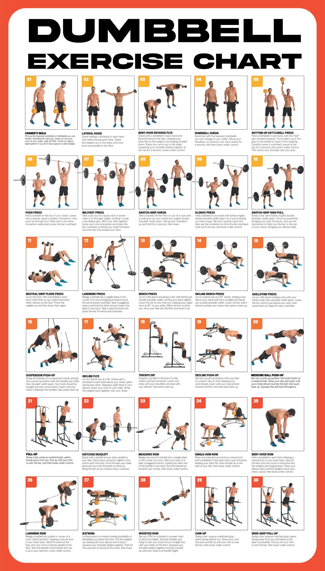 Dumbbell Workout Poster - 10 Free Pdf Printables | Printablee for Printable Bowflex Workout Chart Free Download