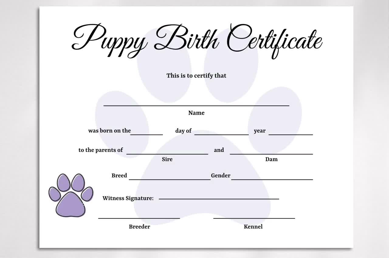 Editable Puppy Birth Certificate Template, Dog Adoption Certificate, Pet Birth Certificate, Dog Breeder Forms with Free Printable Puppy Birth Certificate