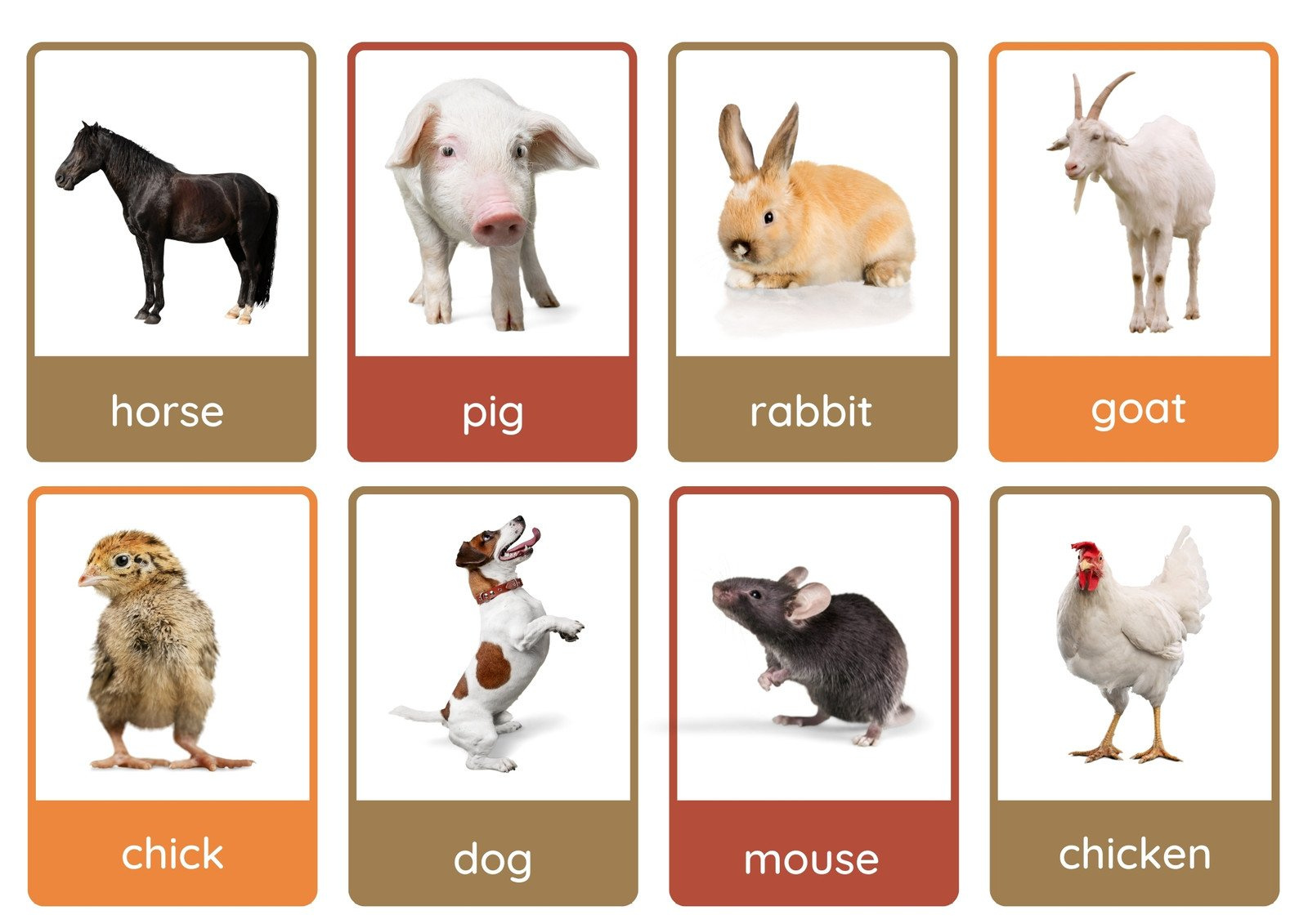 Free Animal Flashcards To Customize And Print | Canva regarding Free Printable Animal Cards