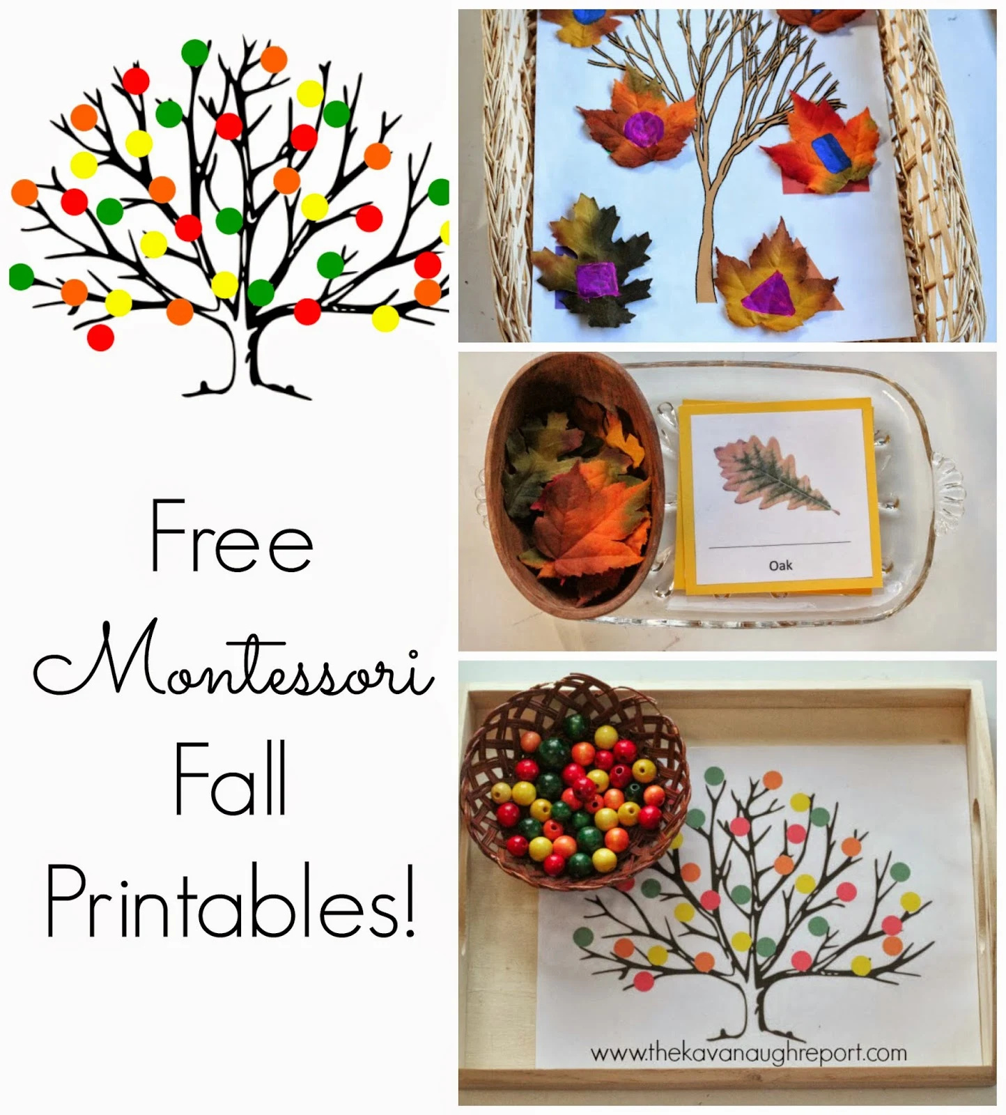 Free Montessori Inspired Fall Printables for Montessori Worksheet Free Printable