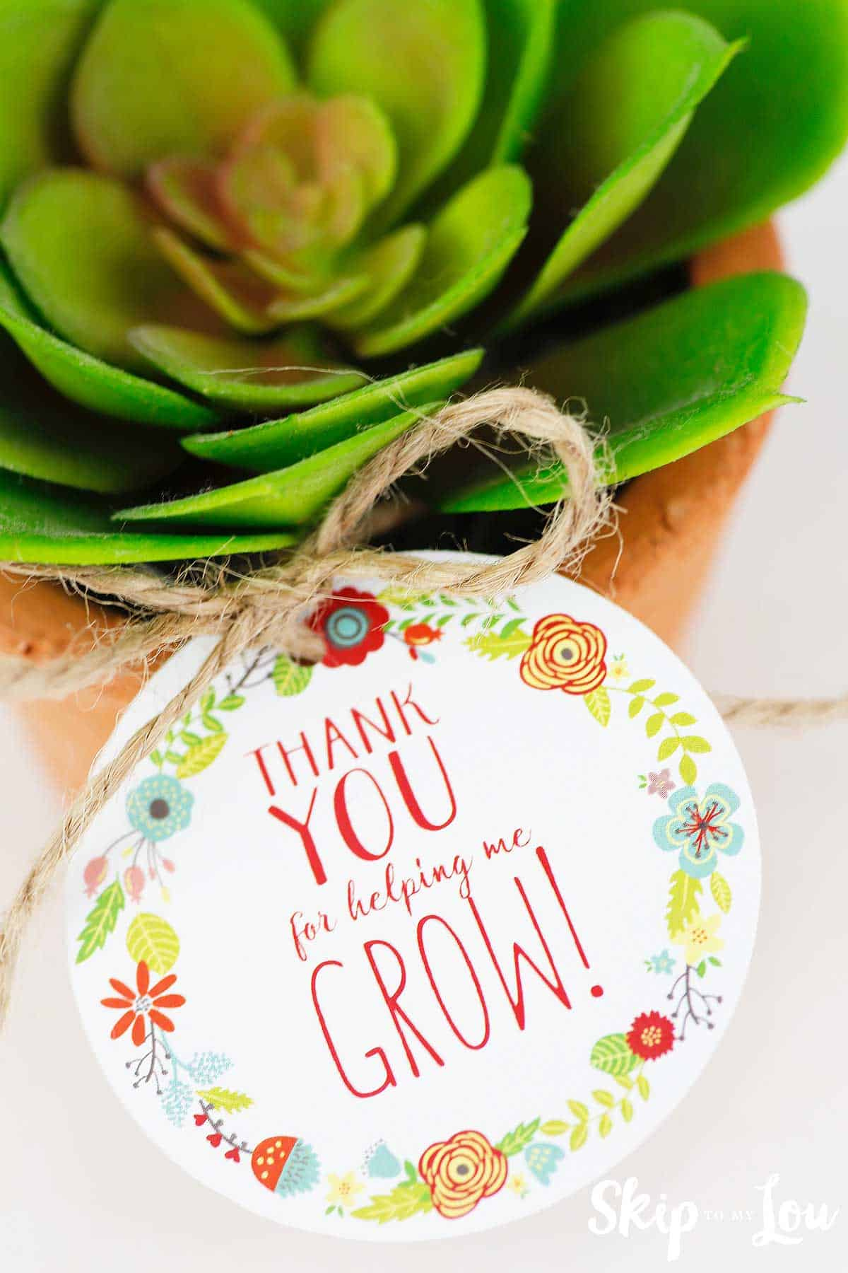 Free Printable Thank You For Helping Me Grow Gift Tags | Skip To for Thanks For Helping Me Grow Printable Free