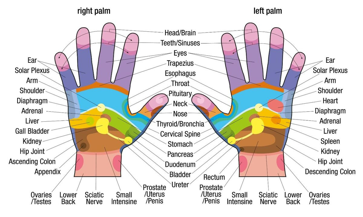 Hand Reflexology Chart Poster Print Choose Your Size Unframed. | Ebay with regard to Printable Reflexology Charts Free