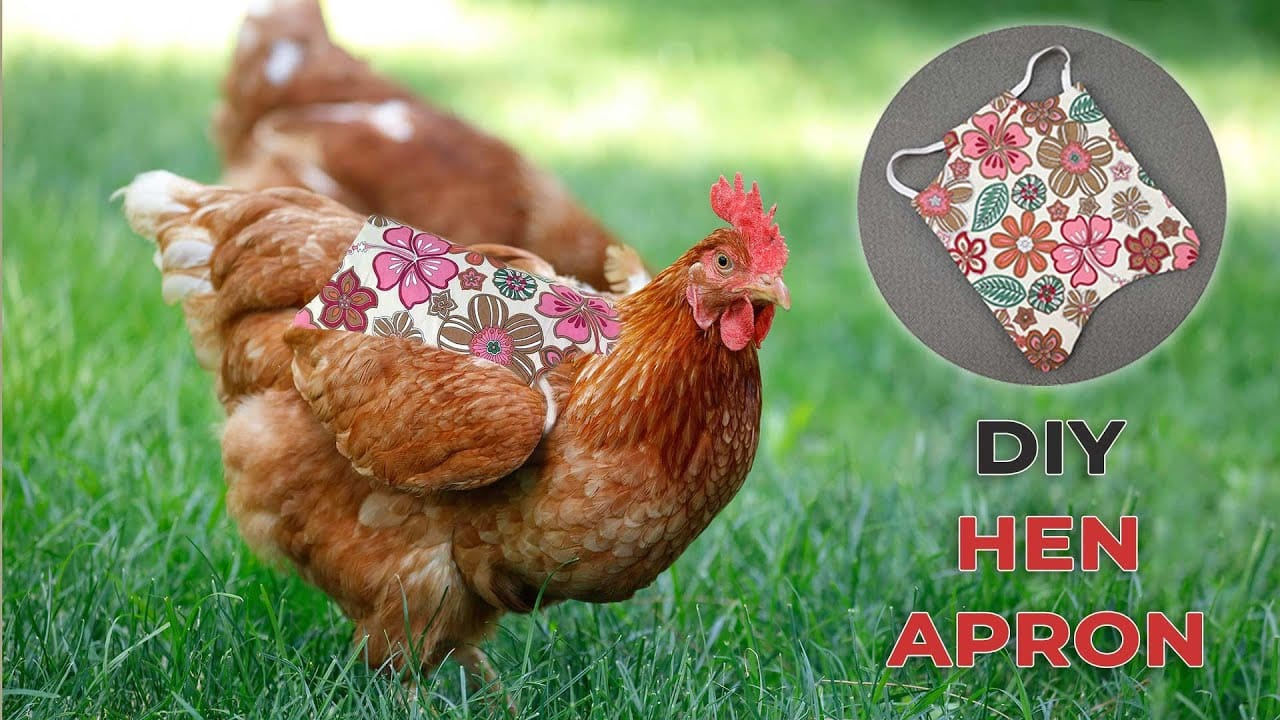 How To Make A Hen Apron | Free Chicken Saddle Pattern ⋆ Hello Sewing in Free Printable Chicken Saddle Pattern