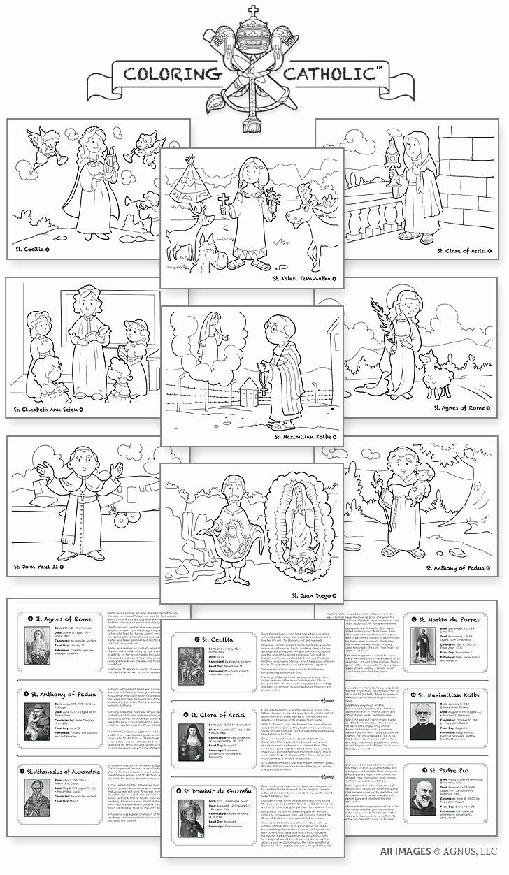 Order Of The Mass Worksheet Lovely Catholic Mass Parts In Order for Free Catholic Printable Worksheets