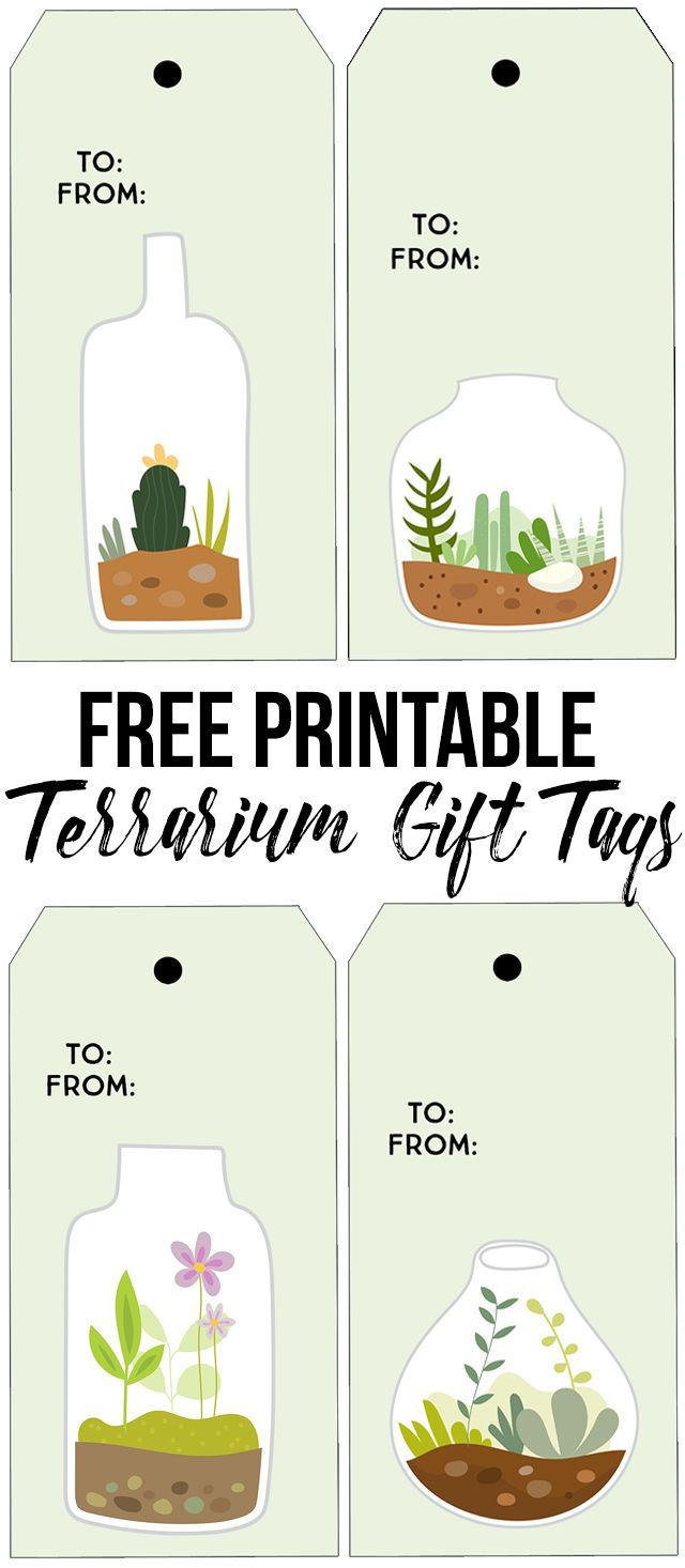 Printable Succulent Terrarium Gift Tags - Live Laugh Rowe pertaining to Free Printable Succulent Gift Tags