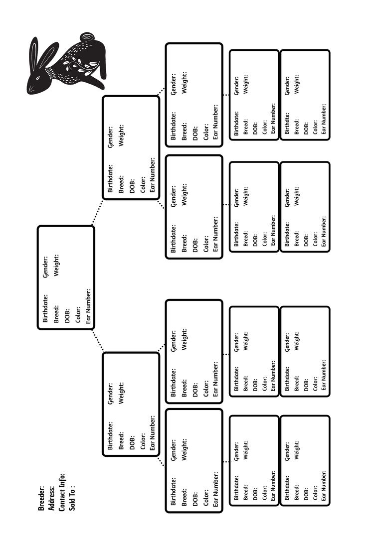 Rabbit Pedigree Forms throughout Free Printable Rabbit Pedigree Template