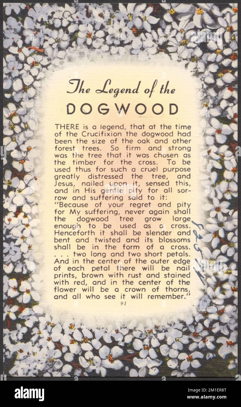 The Legend Of The Dogwood , Dogwoods, Jesus Christ, Tichnor pertaining to Free Printable Legend Of The Dogwood Tree