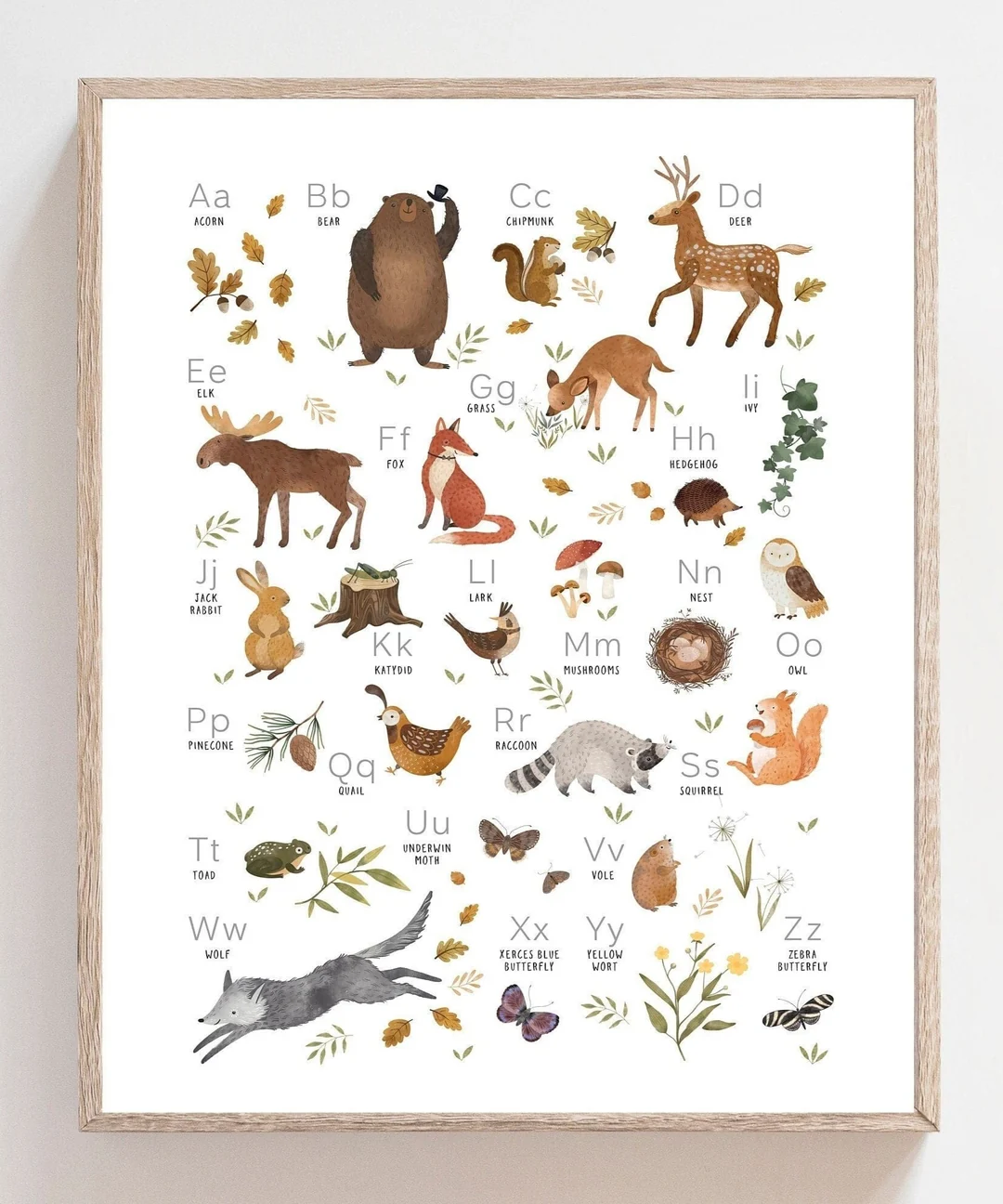 Animal Abc Poster Woodland Alphabet 60001