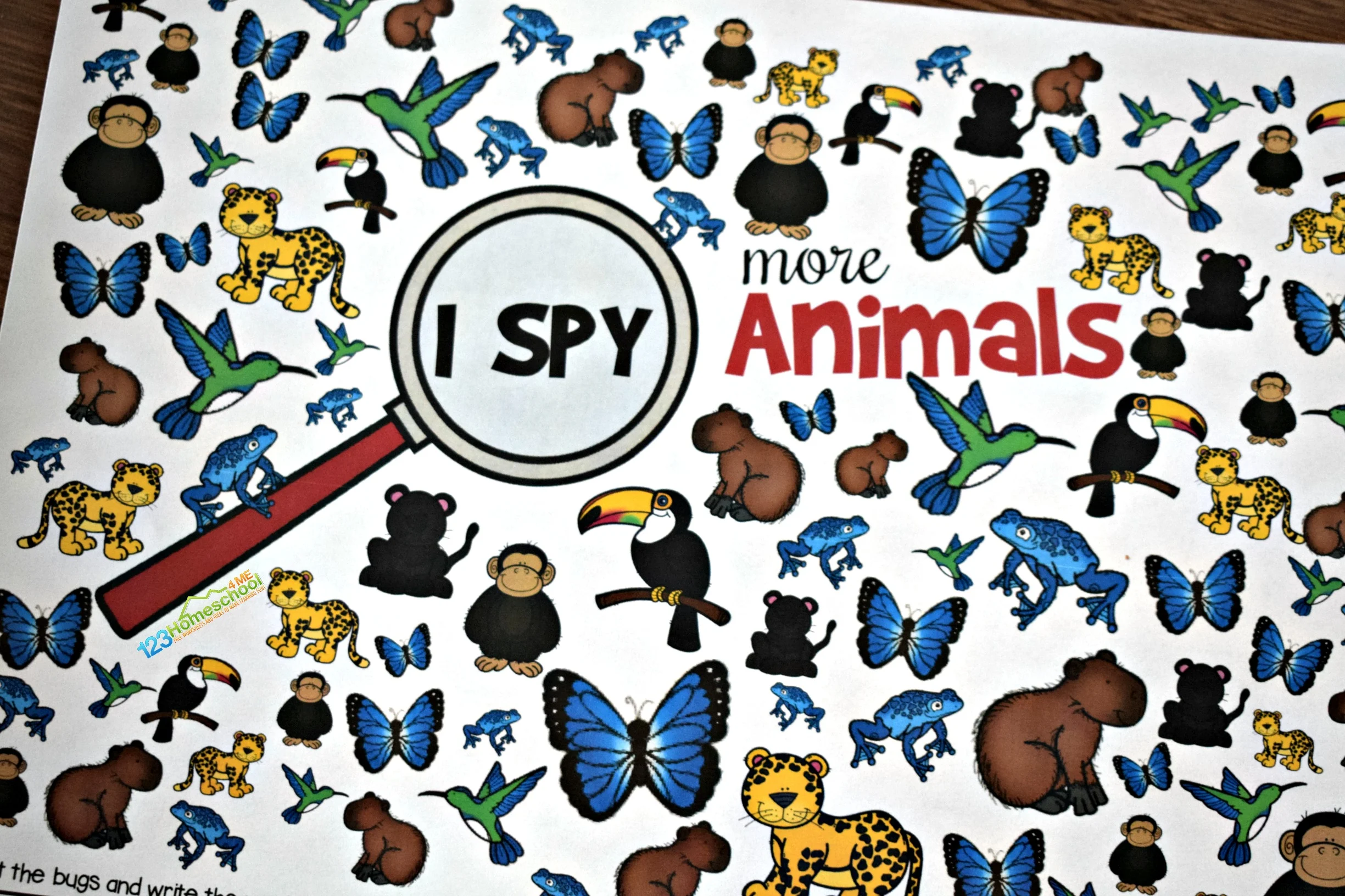 Animal I Spy