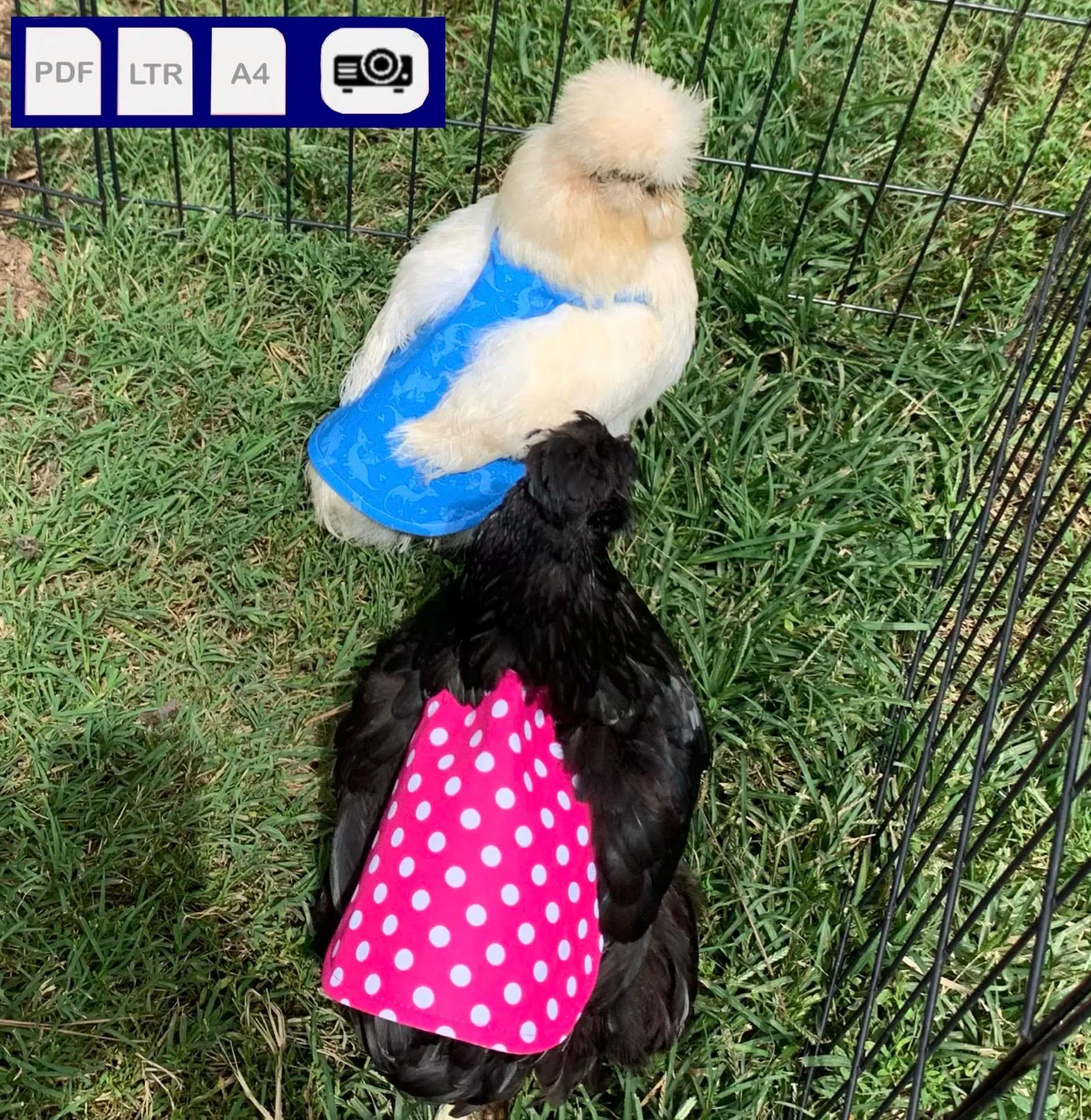 Chicken Saddle Sewing Pattern Four Sizes