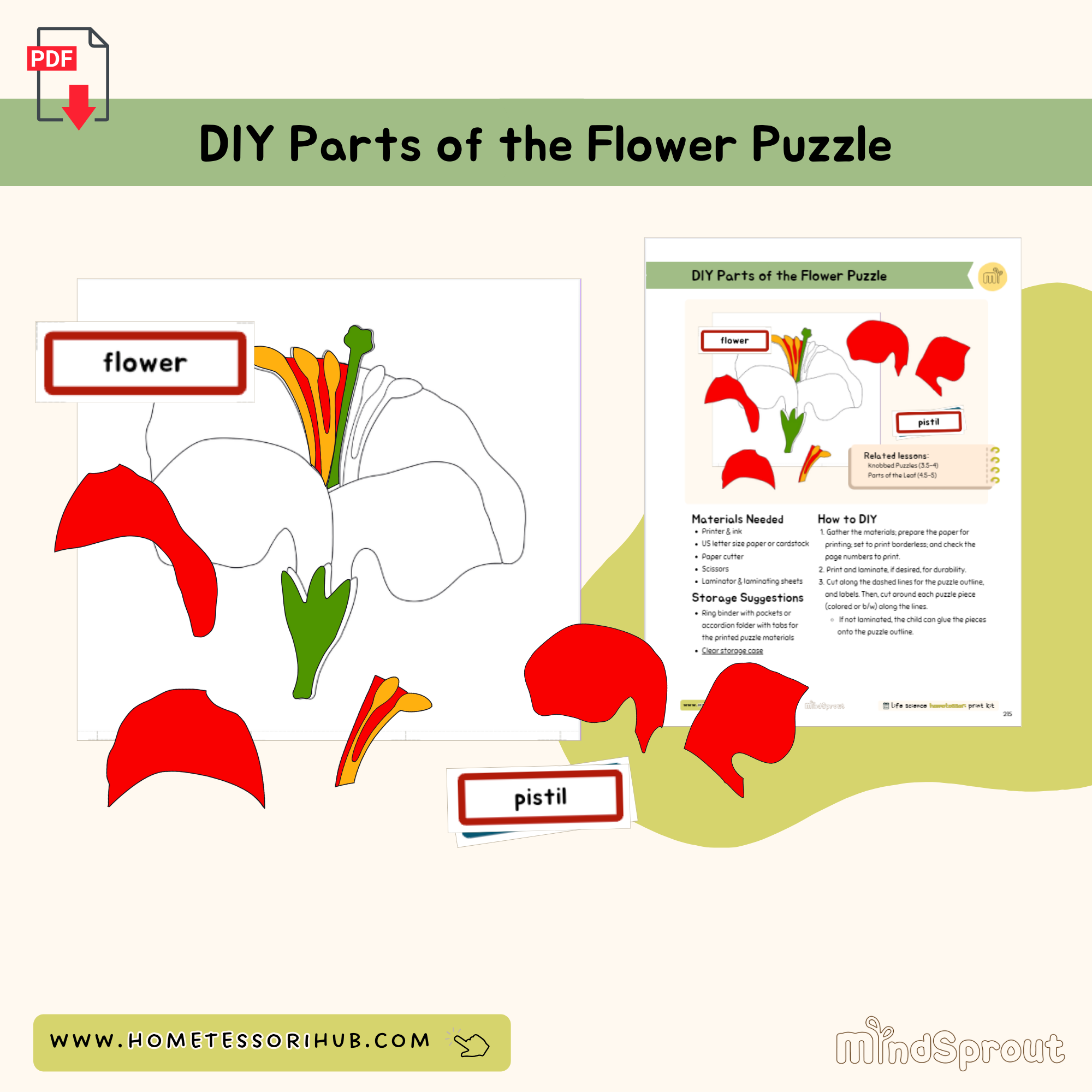 Diy Parts Of The Flower Puzzle Botany Montessori Printable Material Diy Parts Of The Flower Puzzle Botany Montessori Printable Material
