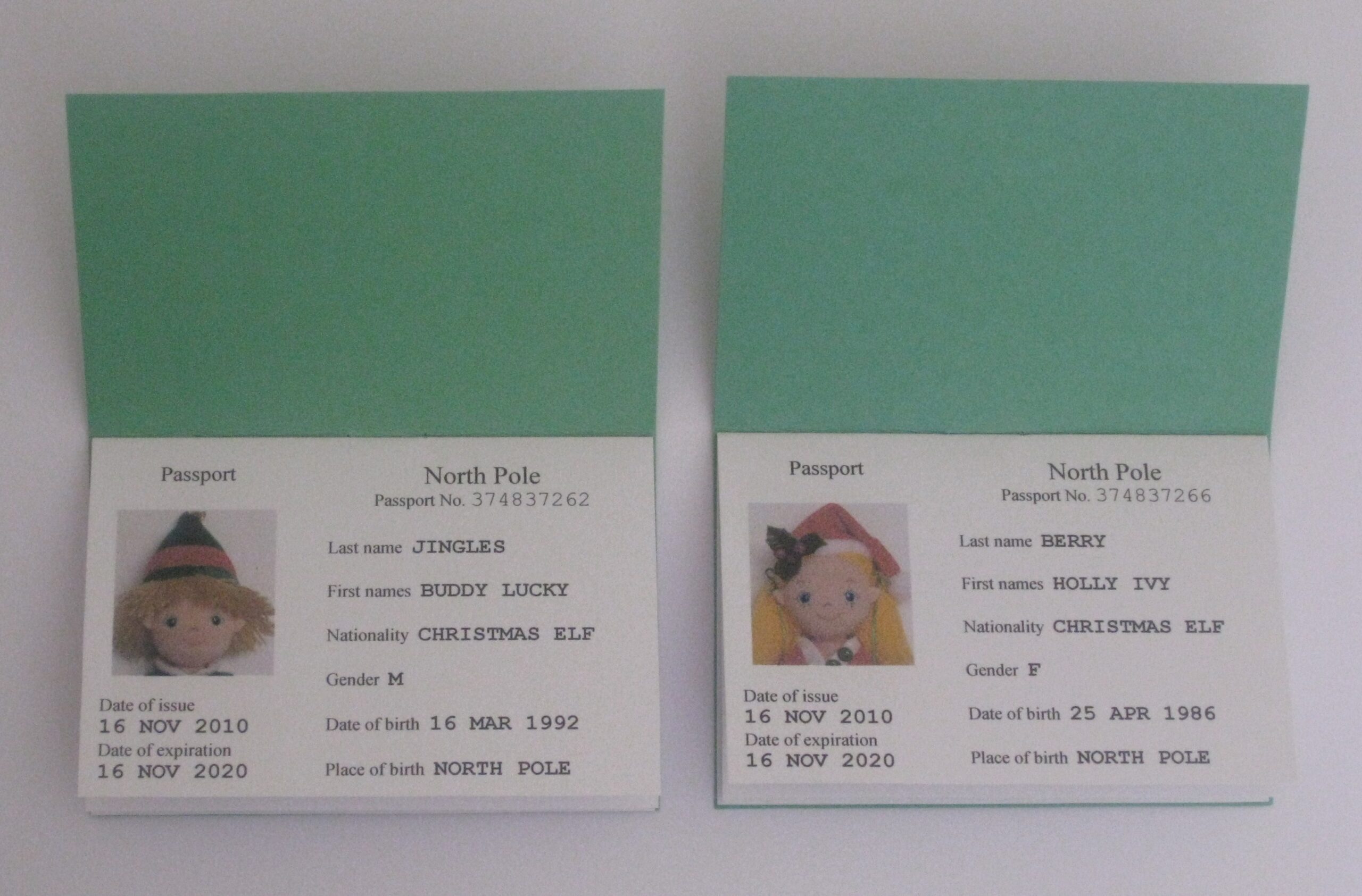 Elf Passports More Elf Passports More