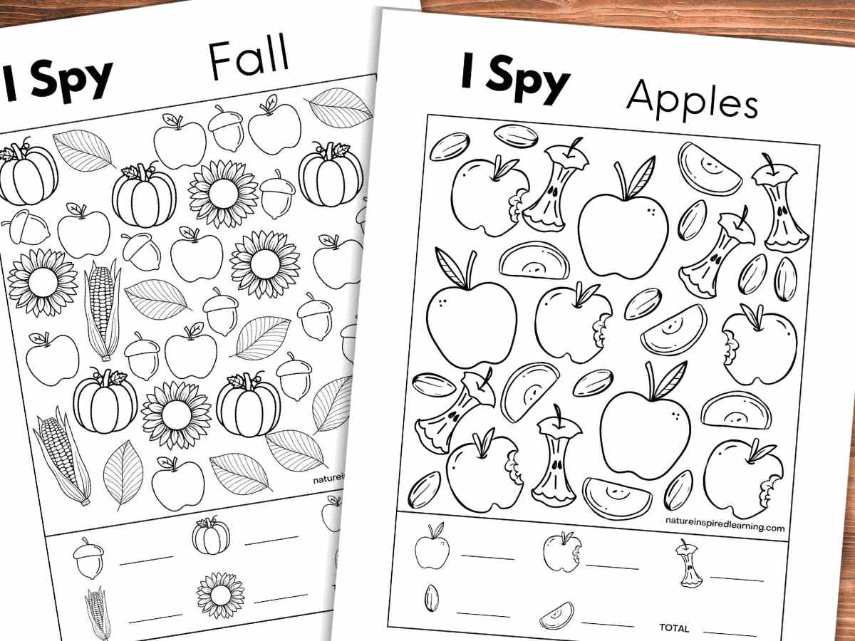 Fall I Spy