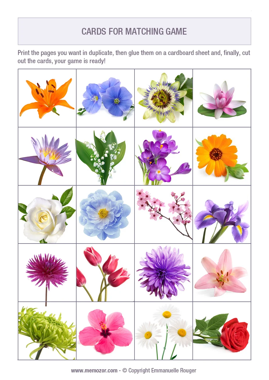 Flowers
