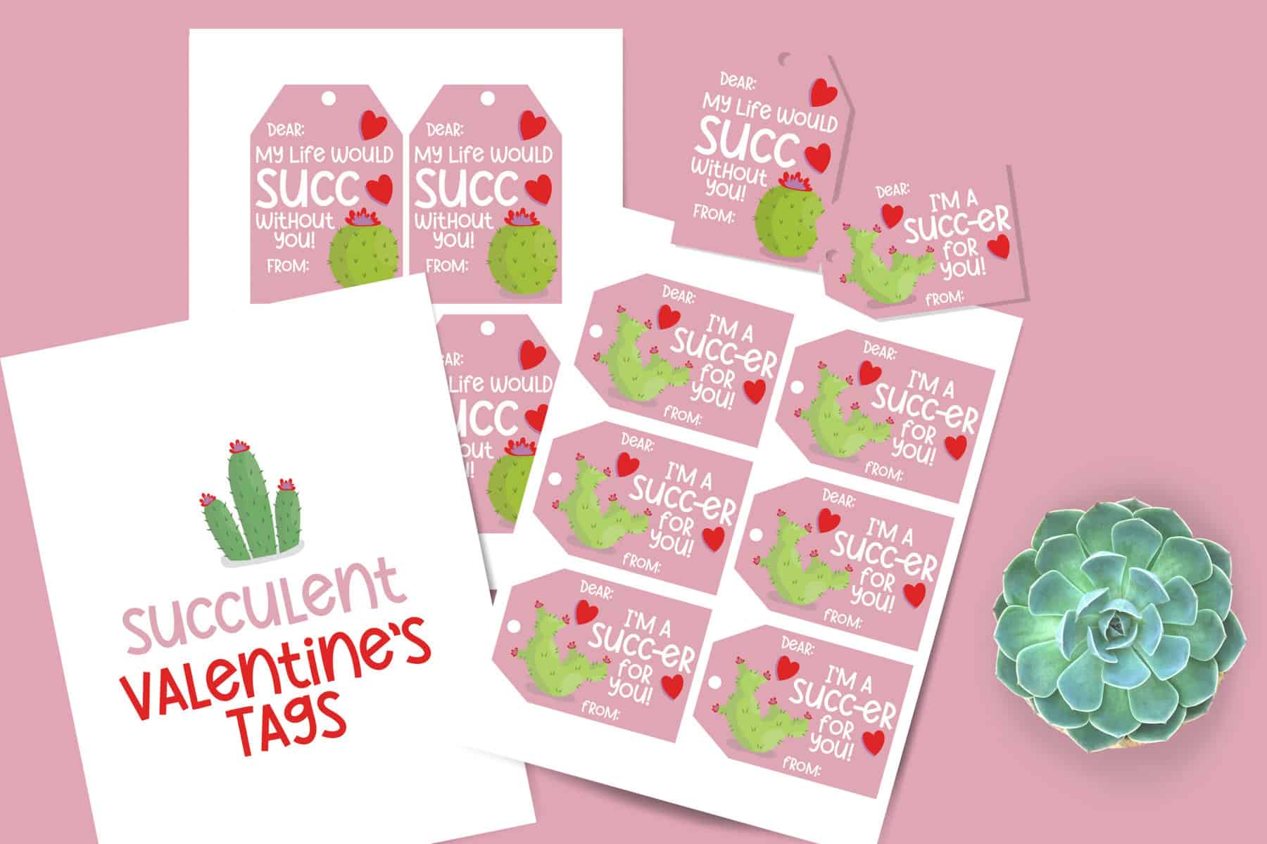 Free Succulent Valentine Printable Gift Tags Free Succulent Valentine Printable Gift Tags
