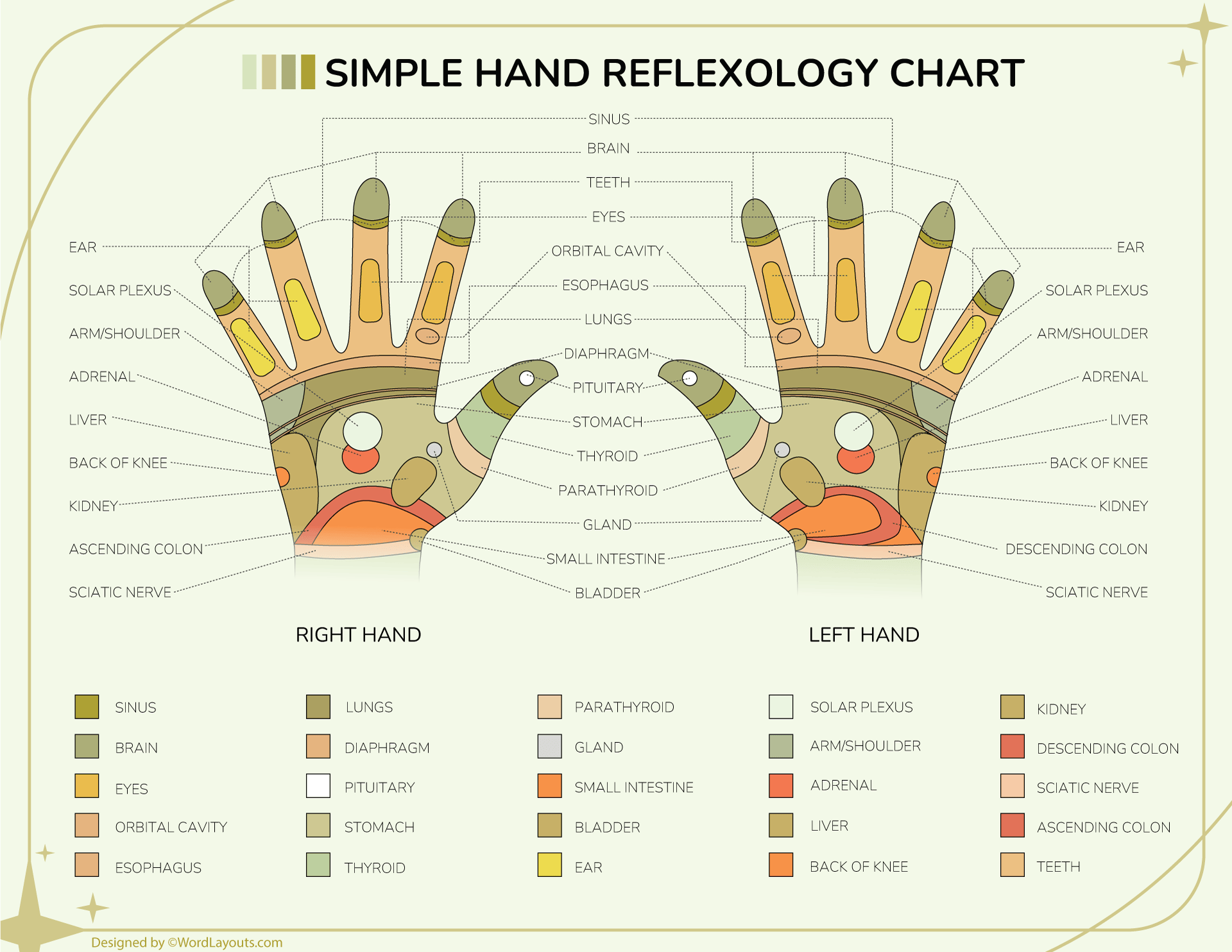 Hand Reflexology Points Map