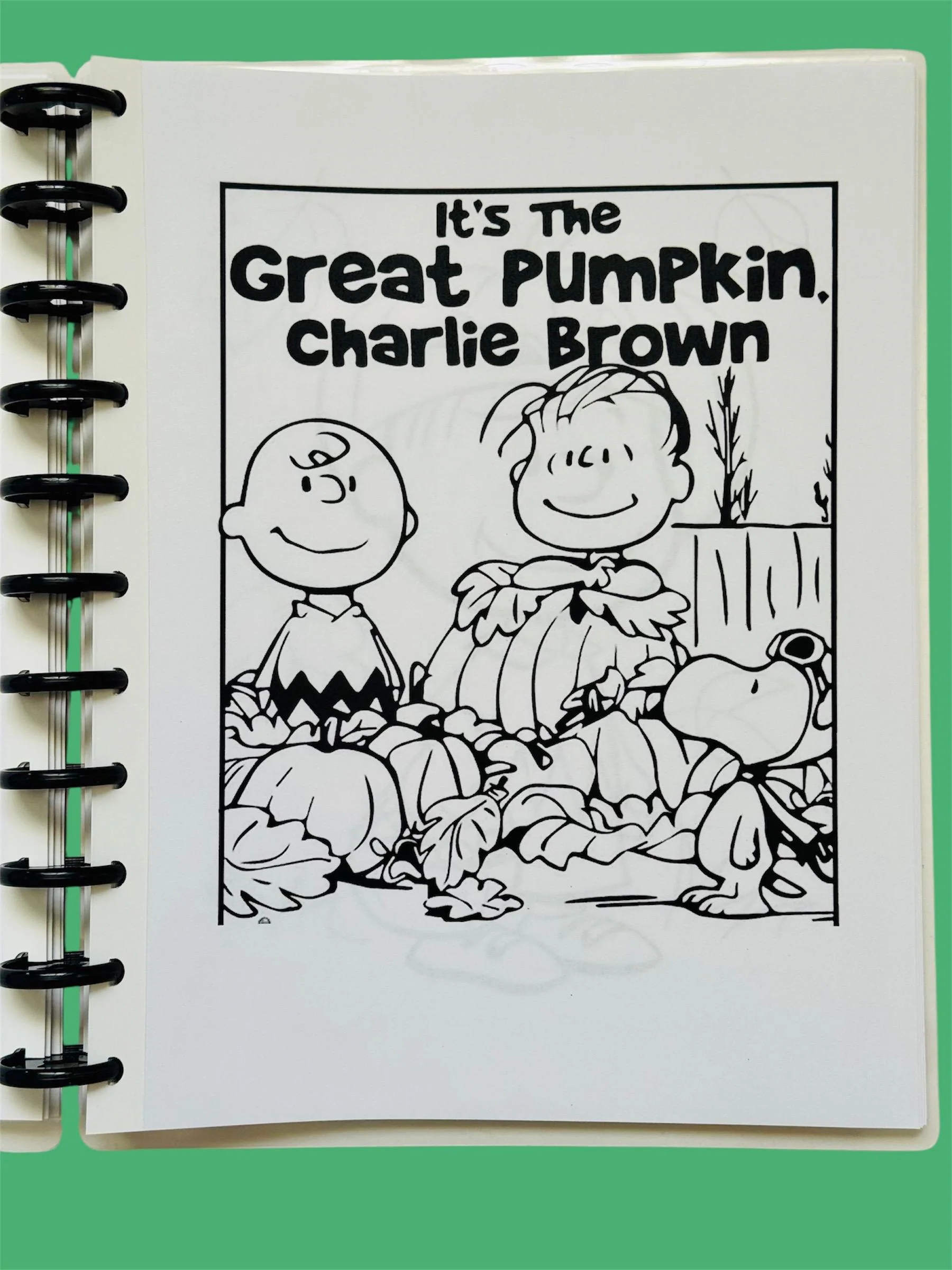 Handmade Snoopy Charlie Brown Halloween Handmade Snoopy Charlie Brown Halloween