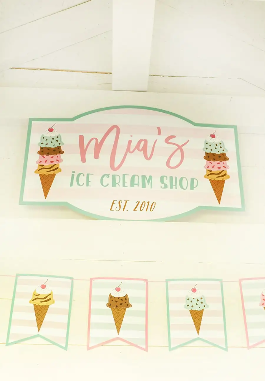 Ice Cream Party Ice Cream Party