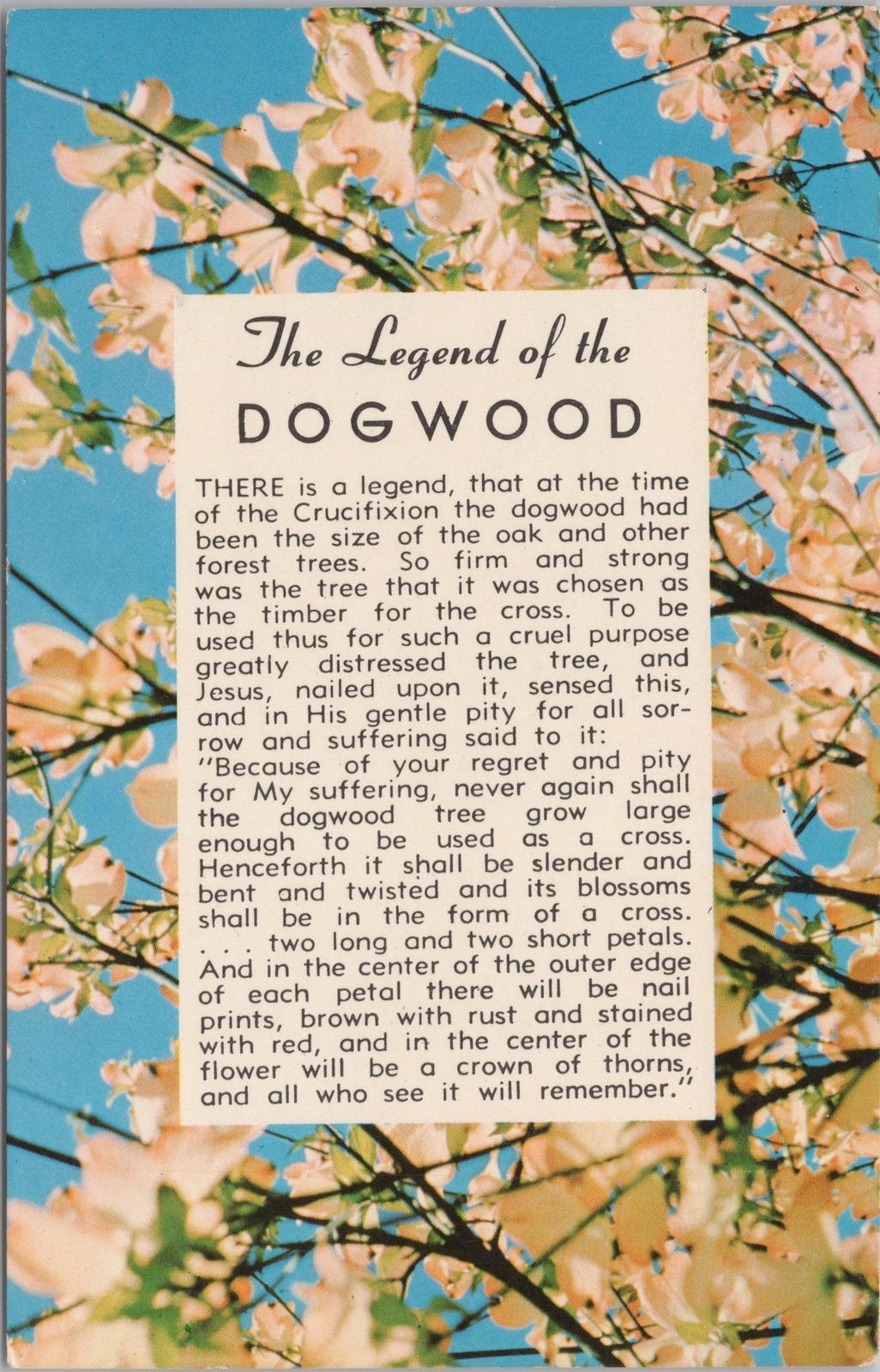 free printable legend of the dogwood tree