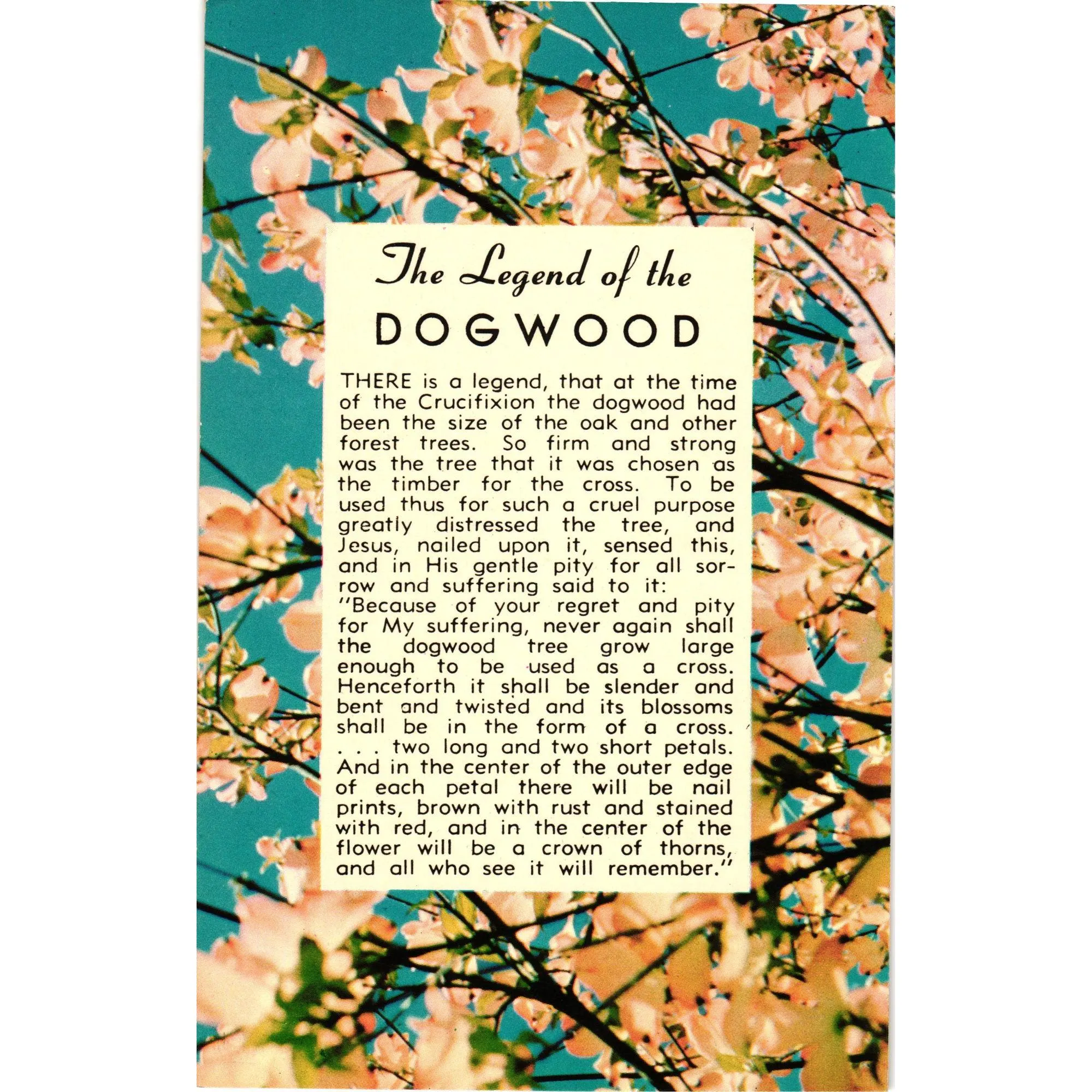 Legend Of Dogwood Card