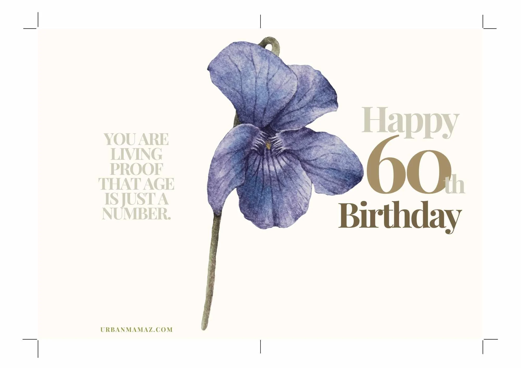 Living Proof That Age Is Just A Number Free Printable 60th Birthday Card