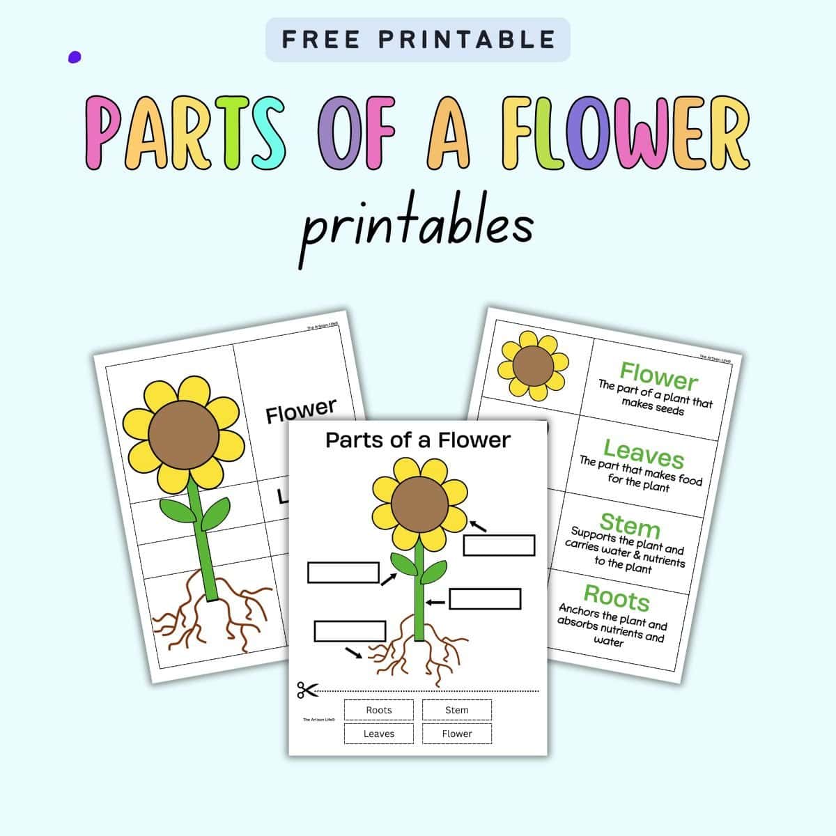 parts of a flower montessori free printable parts of a flower montessori free printable