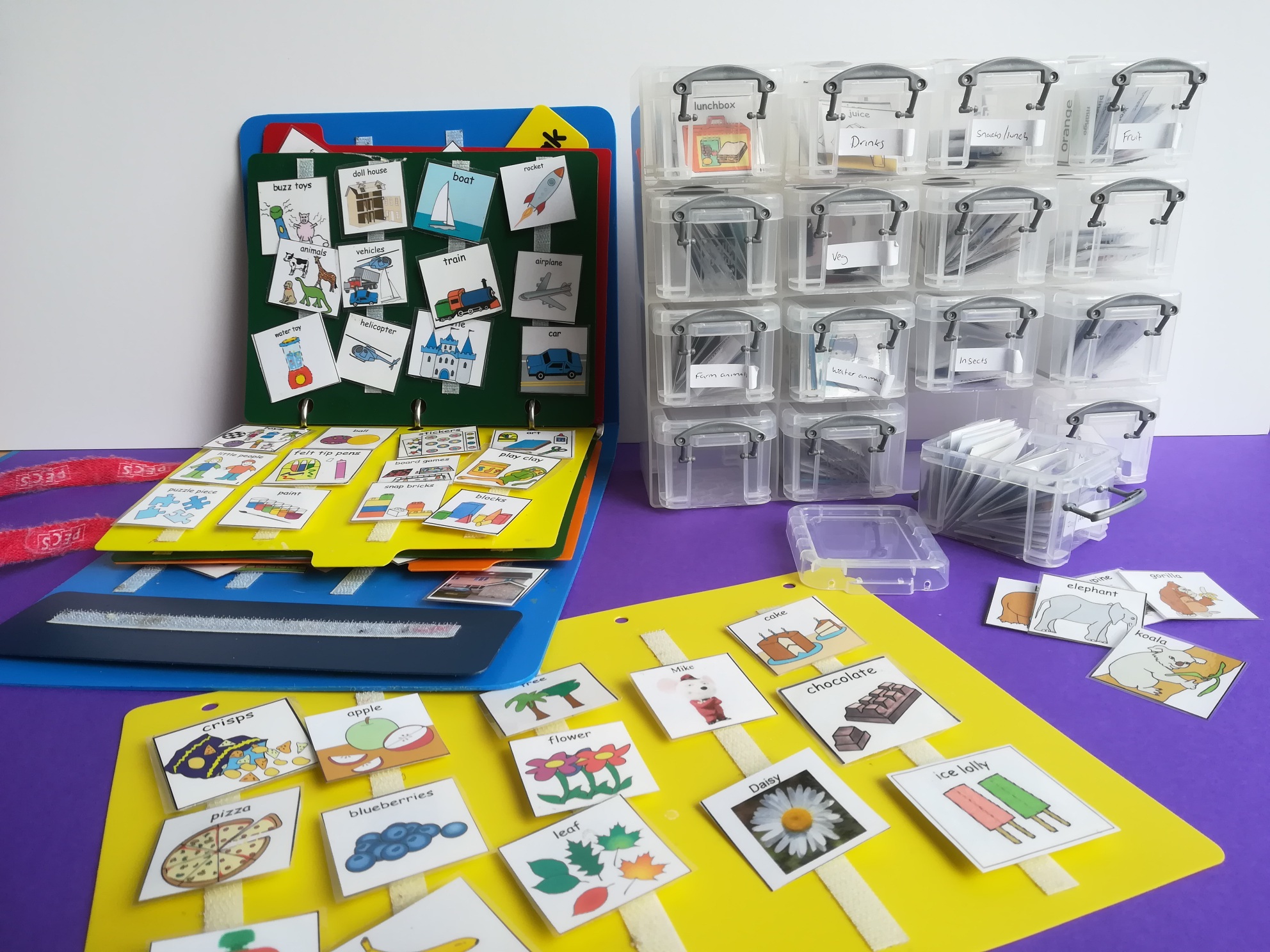 Pecs Cards