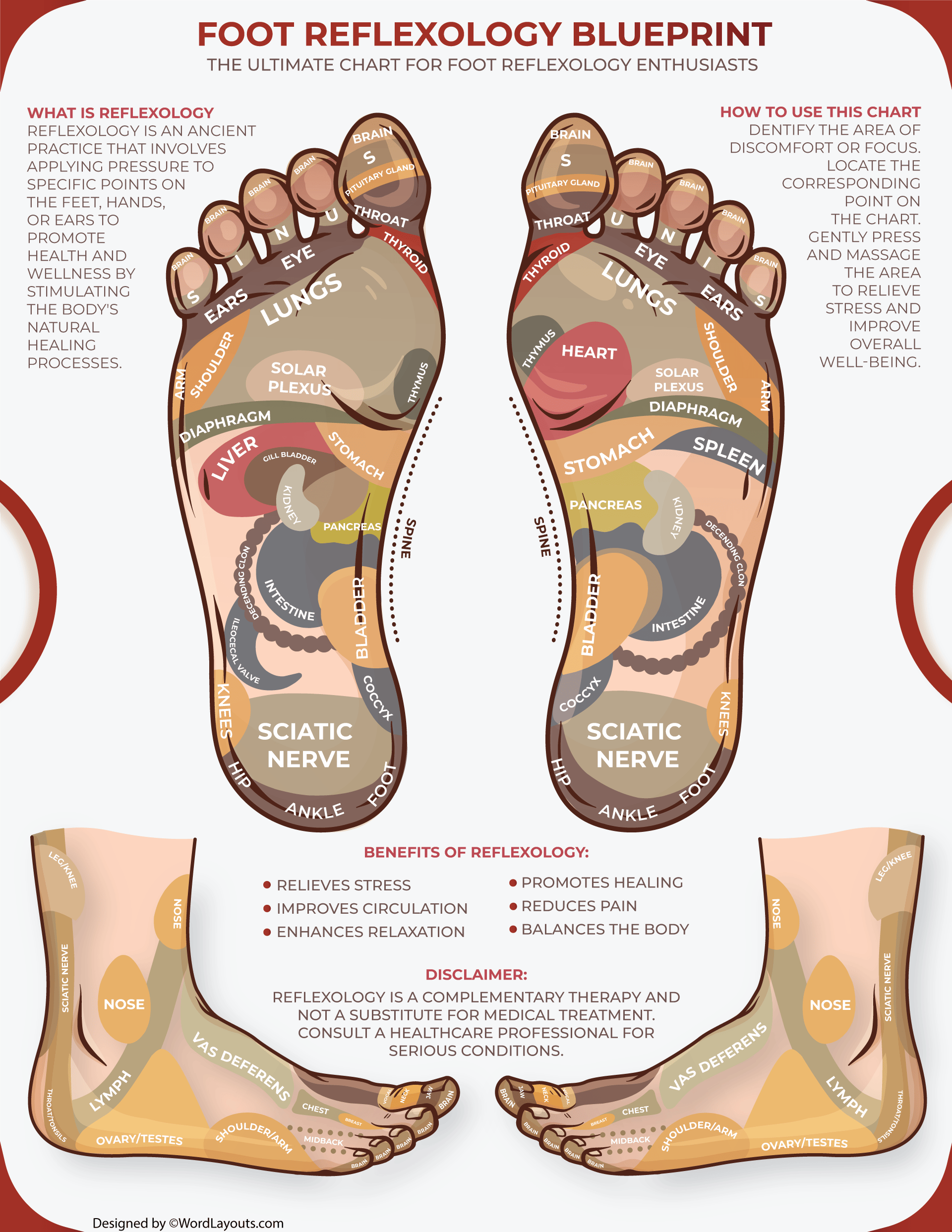 printable reflexology charts free