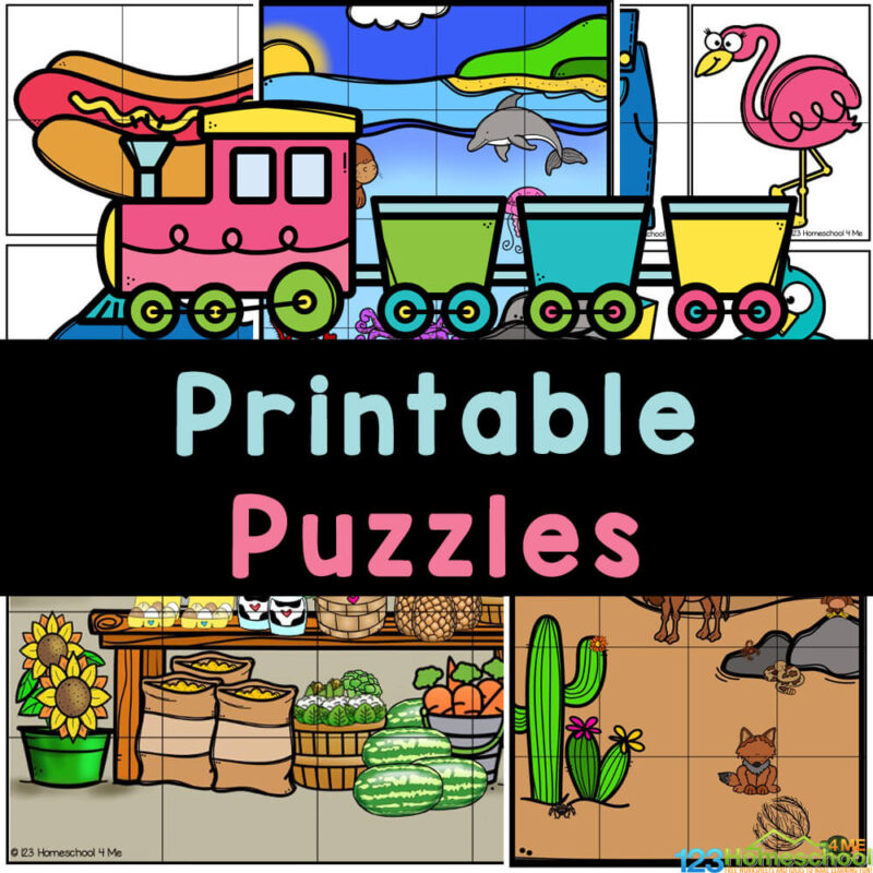 Printable Picture Puzzles Printable Picture Puzzles