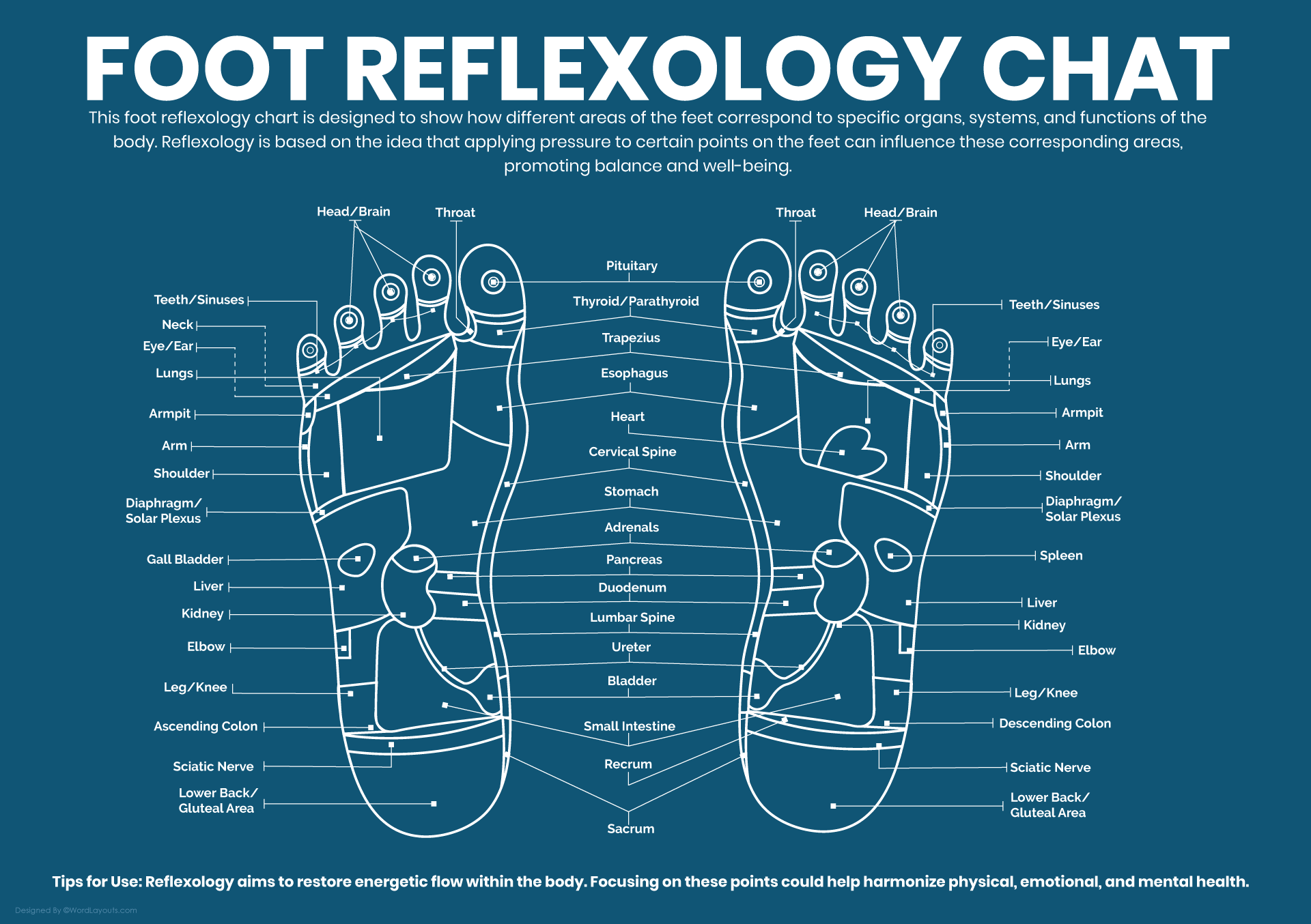 Reflexology