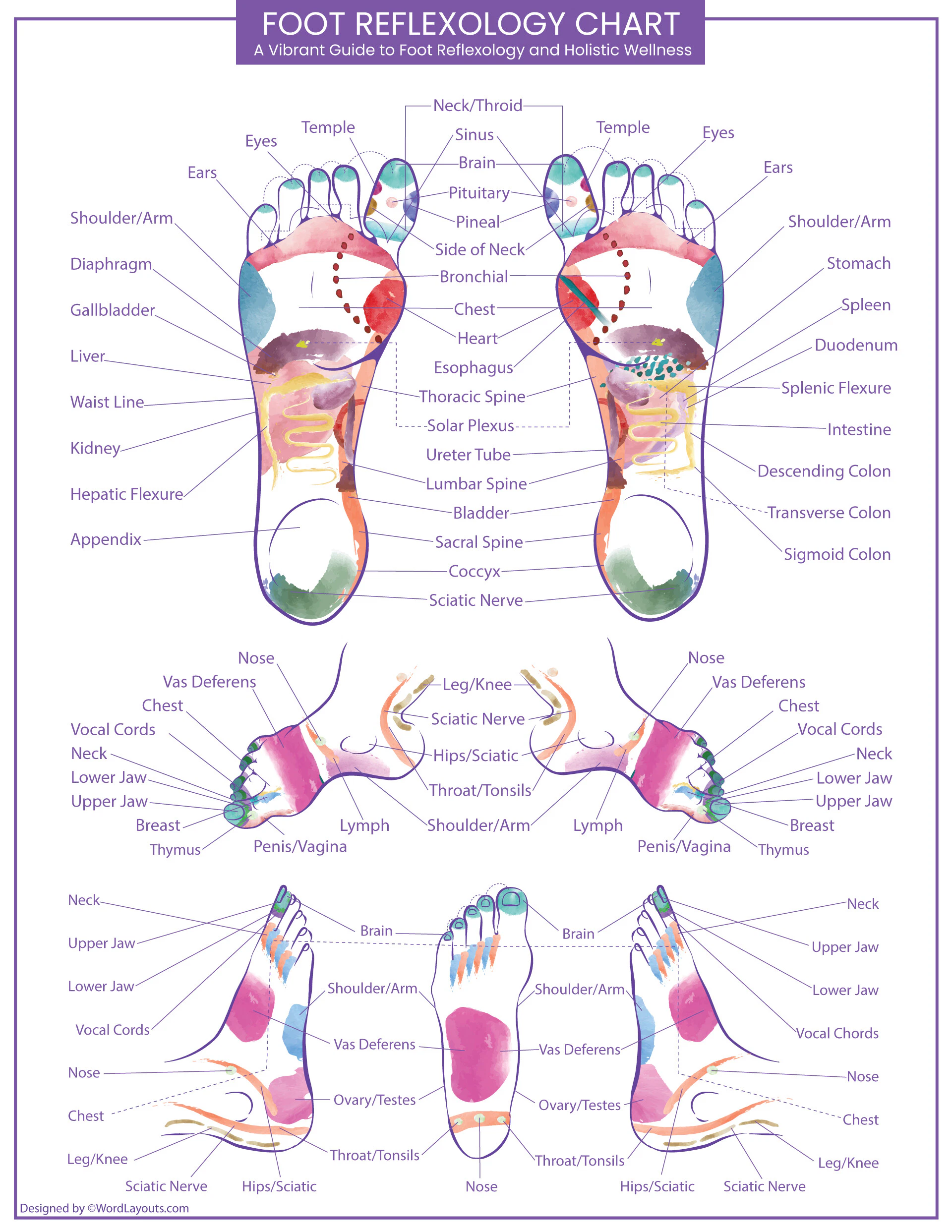 Reflexology