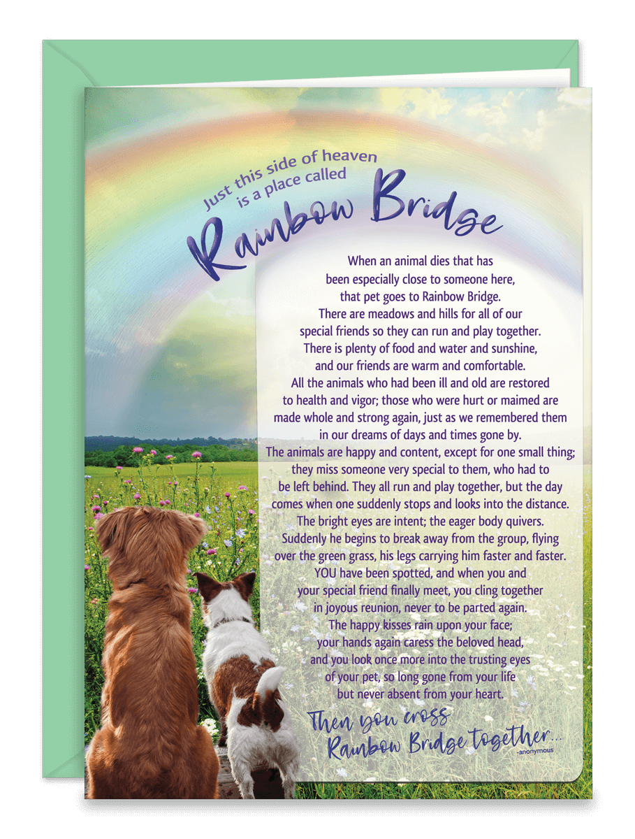 Sdograinbow Sdograinbow