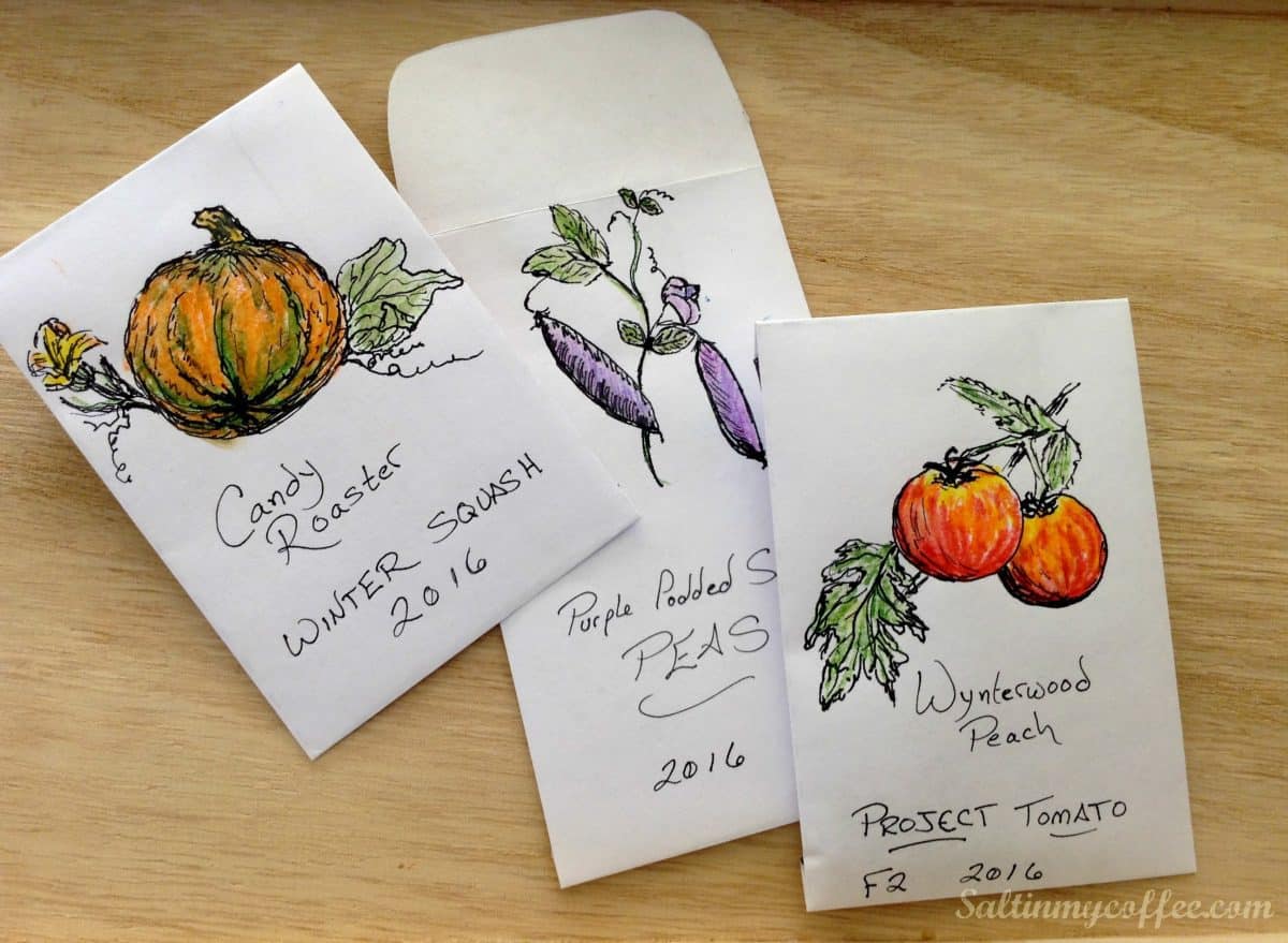 free printable seed packet templates free printable seed packet templates
