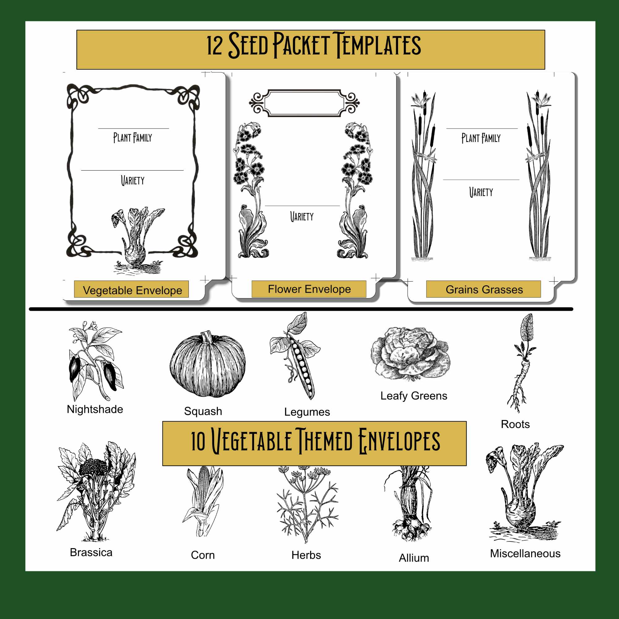 Seed Packet