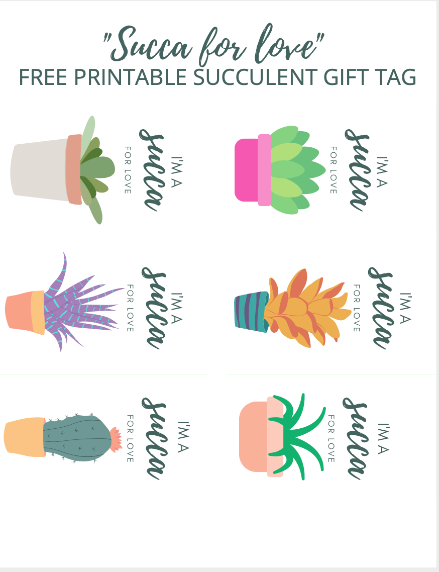 Succulent Valentines Diy