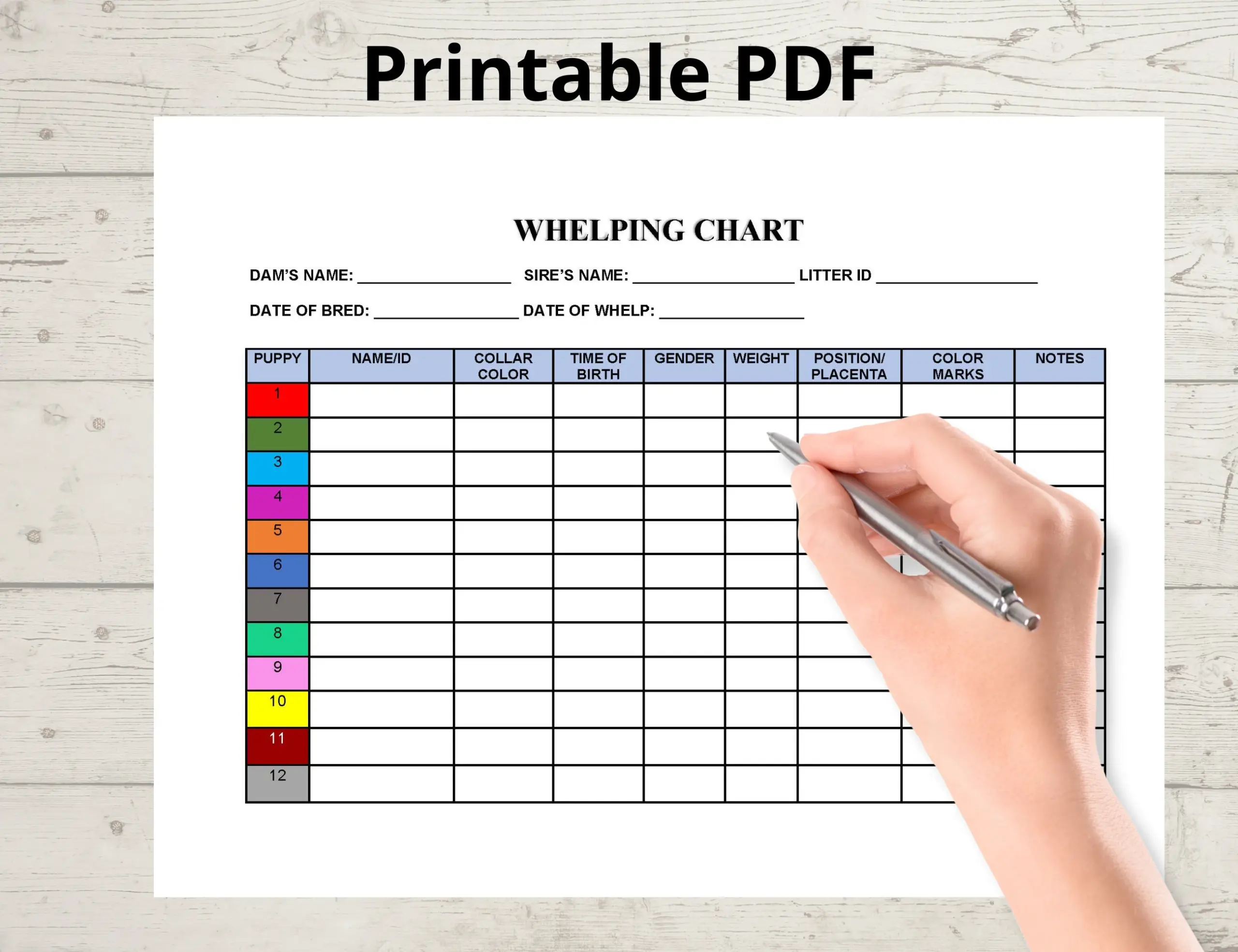 free printable puppy weight puppy whelping chart free printable puppy weight puppy whelping chart